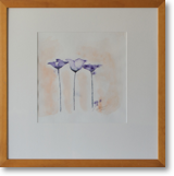 Mohn3 – Aquarell – Bildgröße: 29x29 cm – Größe gerahmt: 52x52 cm – Preis: € 200