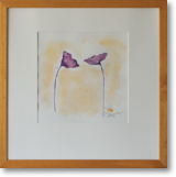 Mohn2 – Aquarell – Bildgröße: 29x29 cm – Größe gerahmt: 52x52 cm – Preis: € 200